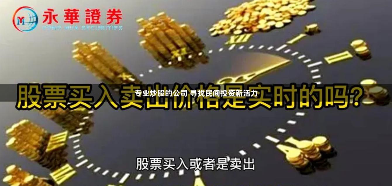 专业炒股的公司 寻找民间投资新活力