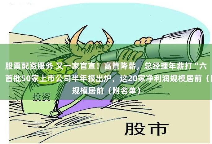 股票配资服务 又一家官宣！高管降薪，总经理年薪打“六五折”！首批50家上市公司半年报出炉，这20家净利润规模居前（附名单）